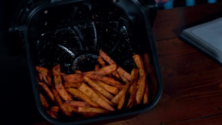 Seasoned Air Fryer Fries